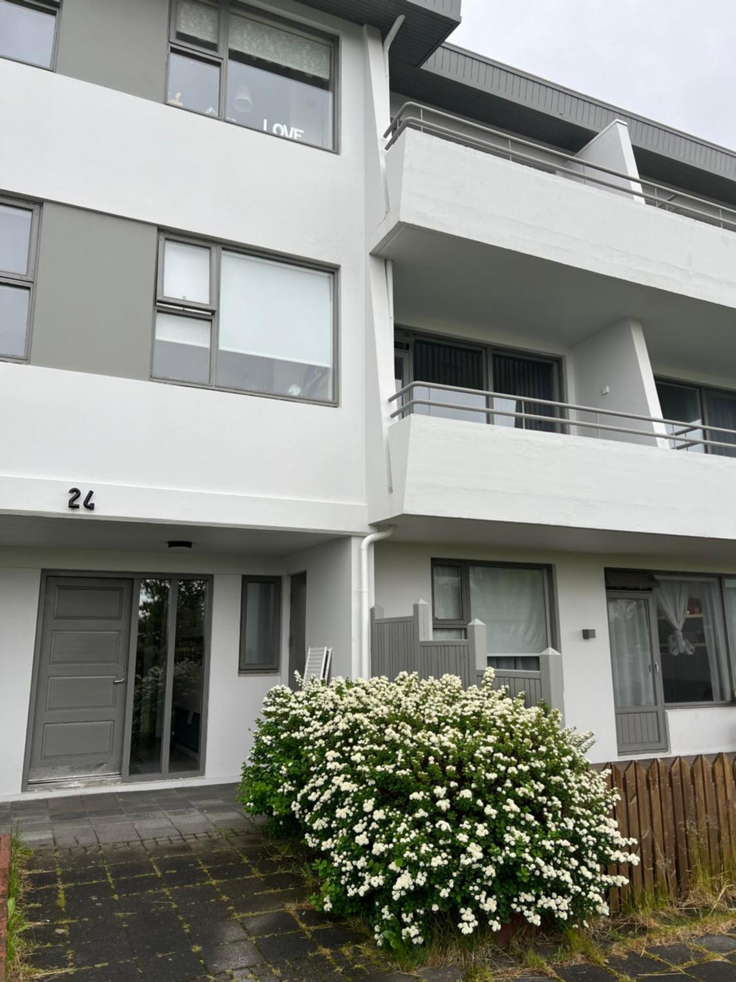 Viggsson Apartment Reykjavík Buitenkant foto
