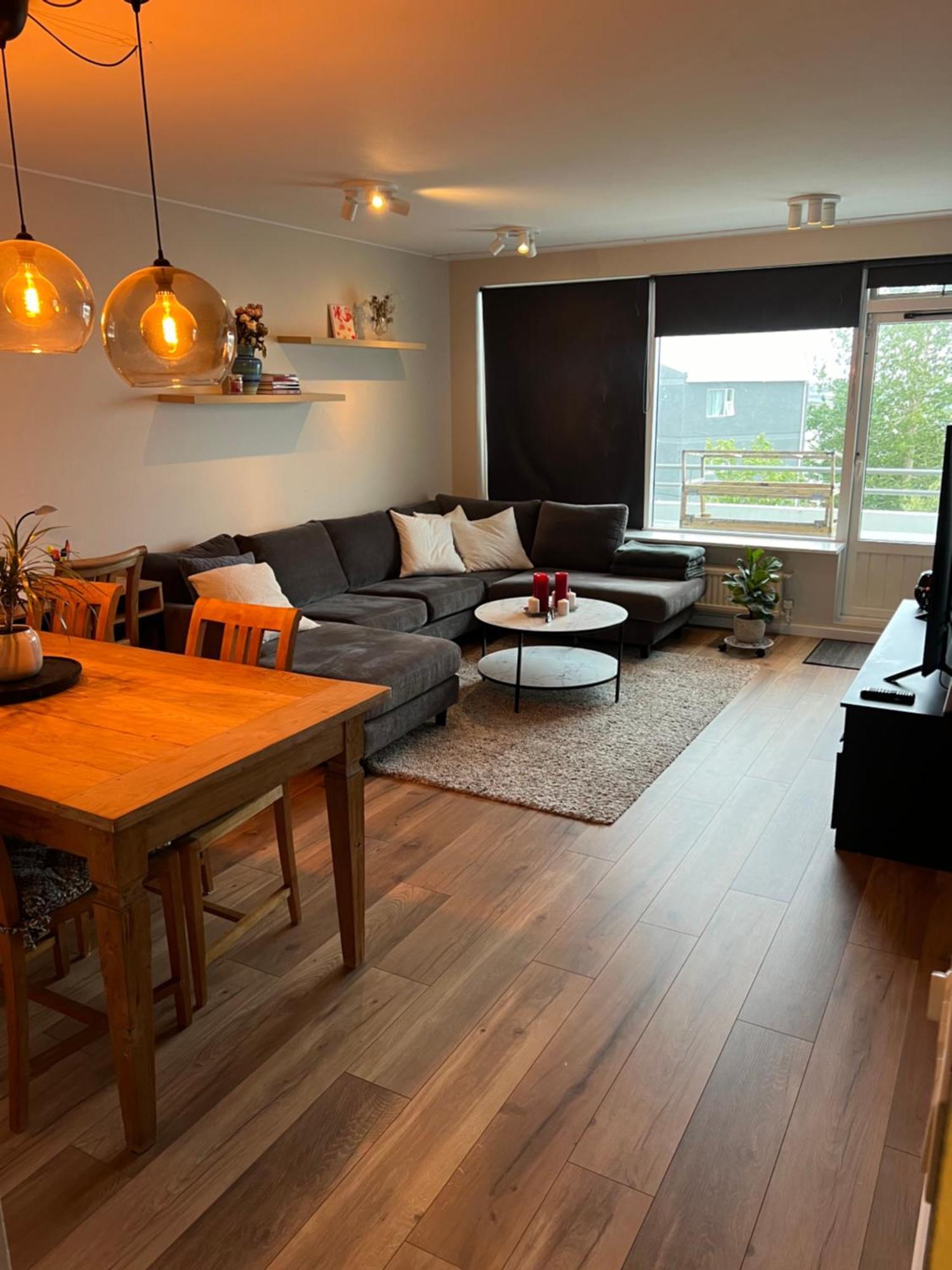 Viggsson Apartment Reykjavík Buitenkant foto